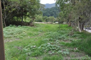 La profesora Yelitza León precisó que están a la espera de la culminación del proyecto de paisajismo que tendrá la nueva entrada del Jardín Botánico, la cual fue ubicada por la avenida Alberto Carnevali, donde ya se hizo parte del movimiento de tierra (Fotografía: L. Altuve)