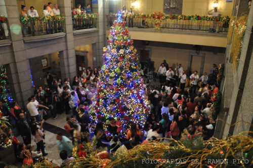 El patio de los grandes acontecimientos universitarios se viste ahora de navidad. (Foto: Ramón Pico)